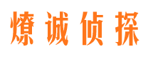 白塔市私家调查